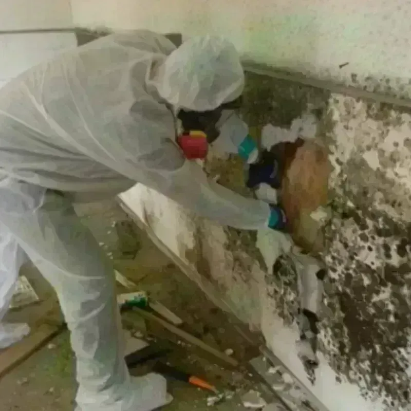 Mold Remediation and Removal in Brentwood Estates, TN